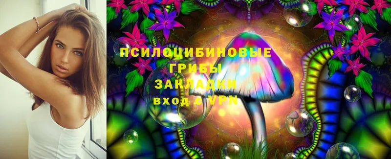 OMG онион  это формула  Галлюциногенные грибы Magic Shrooms  Шебекино 